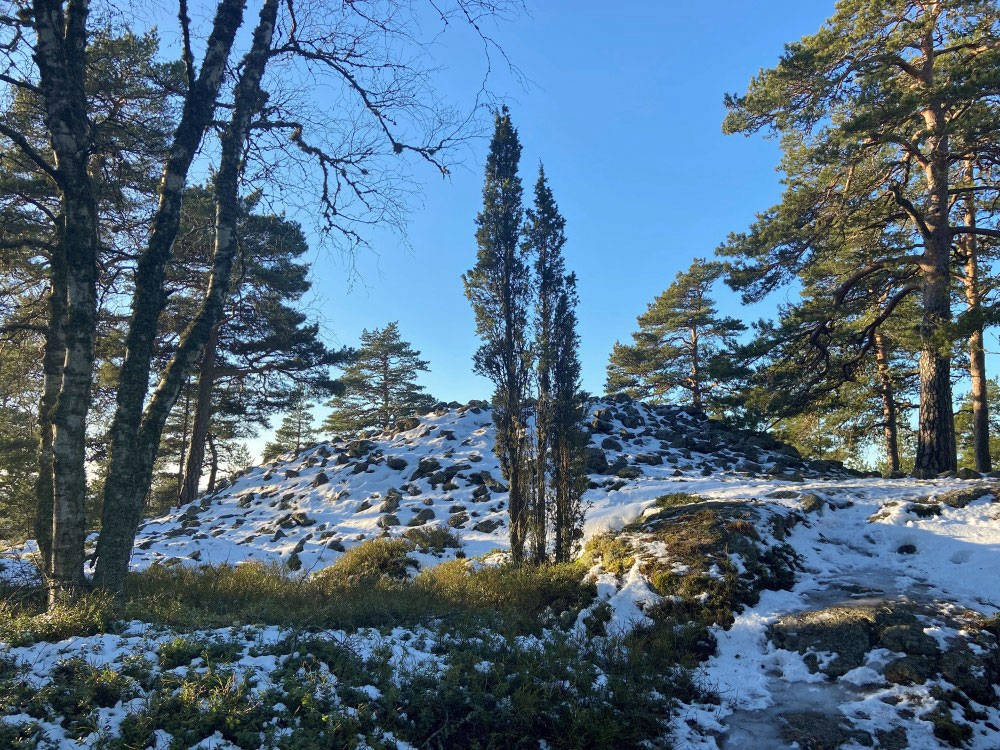 Kuva: Viitankruunu lumipeitteisenä. Turun museokeskus CC BY 4.0 Sanna Saunaluoma 25.01.2022