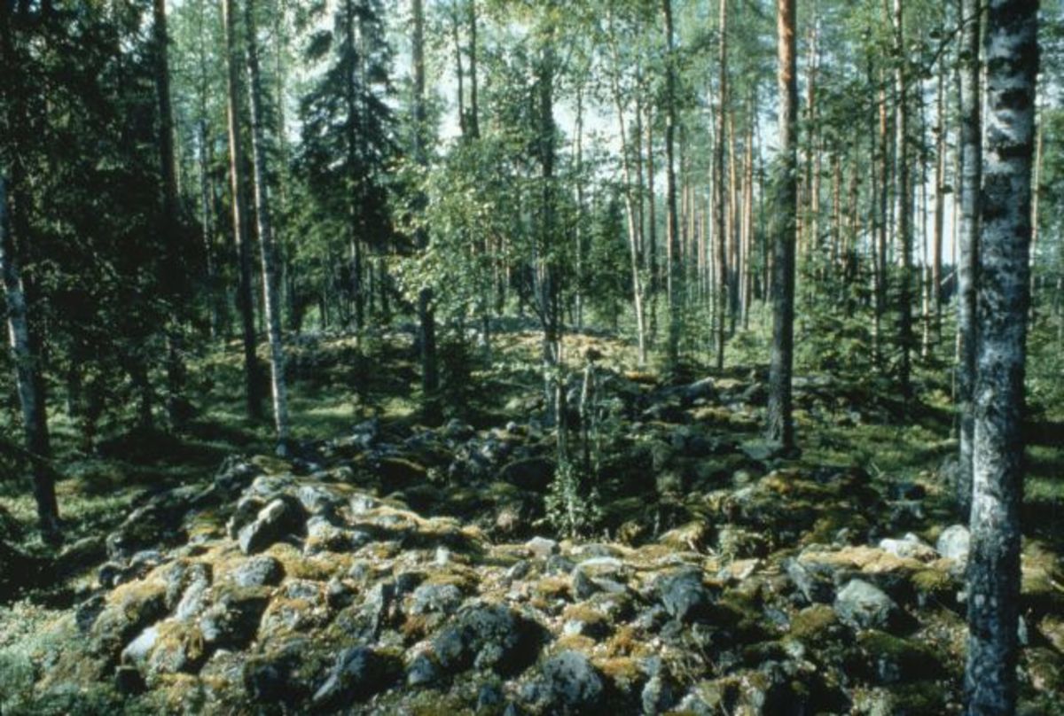 Pronssikautínen hautaröykkiöalue Mirja Miettinen 1988