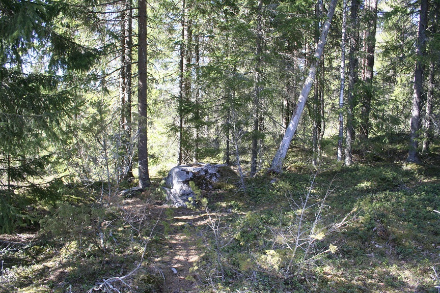 Kuva: Siirtolohkare, johon on kaiverrettu aurinkokello. Kuvattu länteen. Seinäjoen museot/Janne Rantanen 21.4.2020