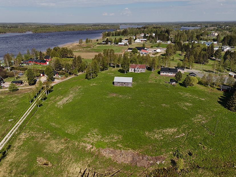 Kuva: Tornio Oravaisensaari. Keskikaikainen asuinpaikka sijaitsee Oravaisensaaren eteläpäässä nykyisellä niittyalueella. Kuvattu kohti pohjoista. Teemu Mökkönen 29.5.2024
